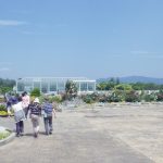 バスツアーでお花とメロンと稲荷